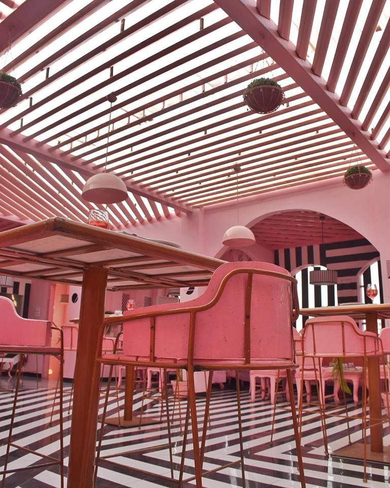 The Pink Zebra  RENESA ARCHITECTURE DESIGN INTERIORS STUDIO