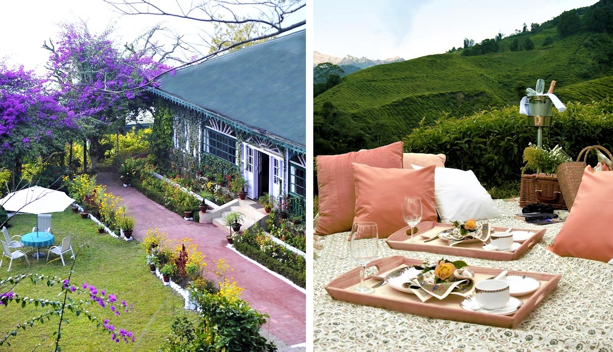 Singtom Tea Estate Darjeeling