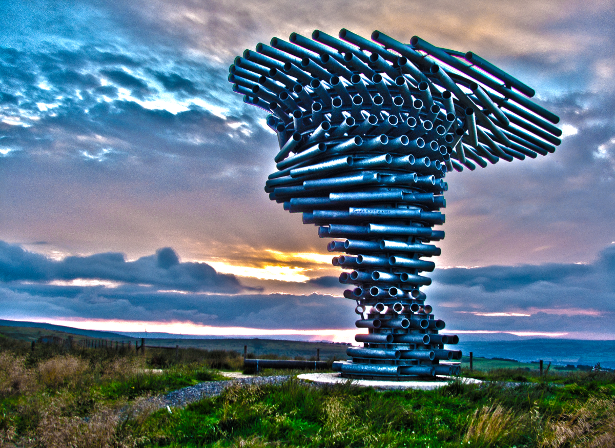 singing ringing tree