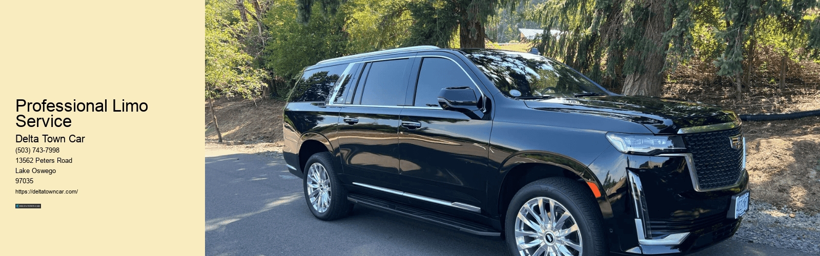 Professional Limo Service