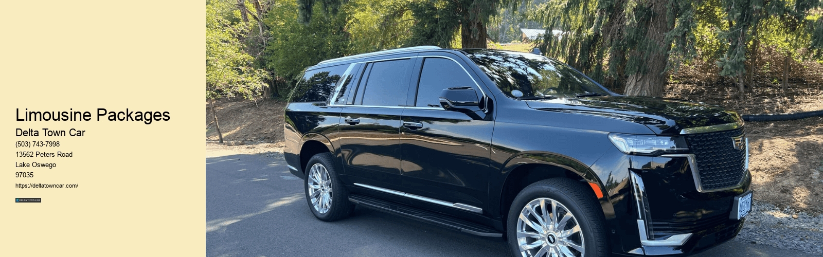 Limousine Packages