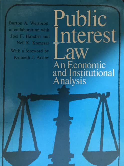 Public interest law an economic and institutional analysis