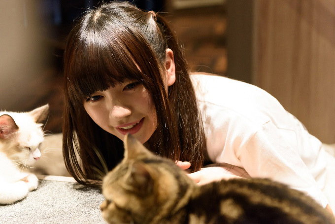 どんな猫でも友達になれる!?アイドルに、絶対に猫が寄ってくる方法を聞いてみた 株式会社ディー・エヌ・エー DeNA