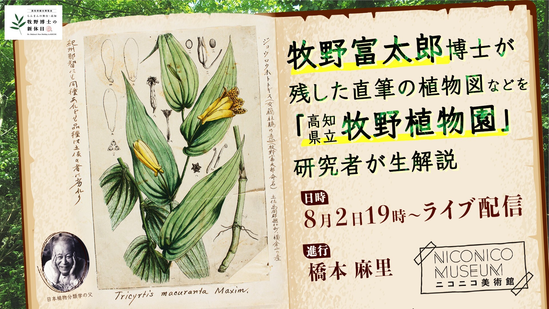 テーマ別特訓ノート 電流・天体・植物動物