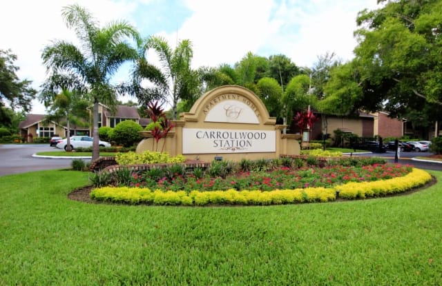 Carrollwood Station Apartment Tampa