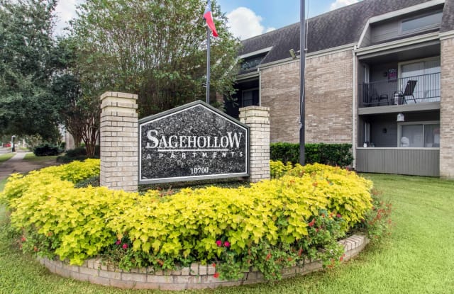 Sage Hollow Apartments Apartment Houston