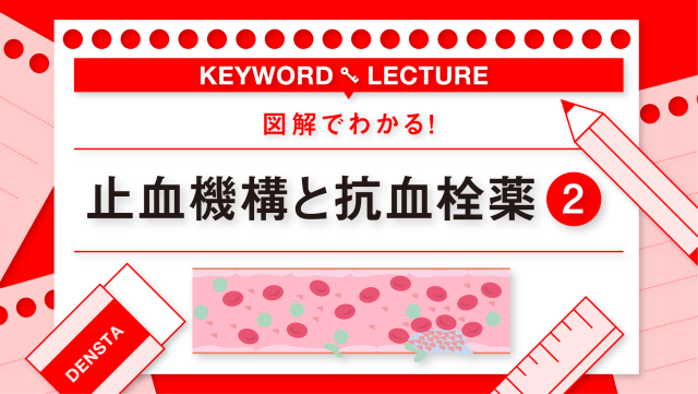 デンスタ | あなたの歯学スタディポータル デンスタ | あなたの歯学スタディポータル