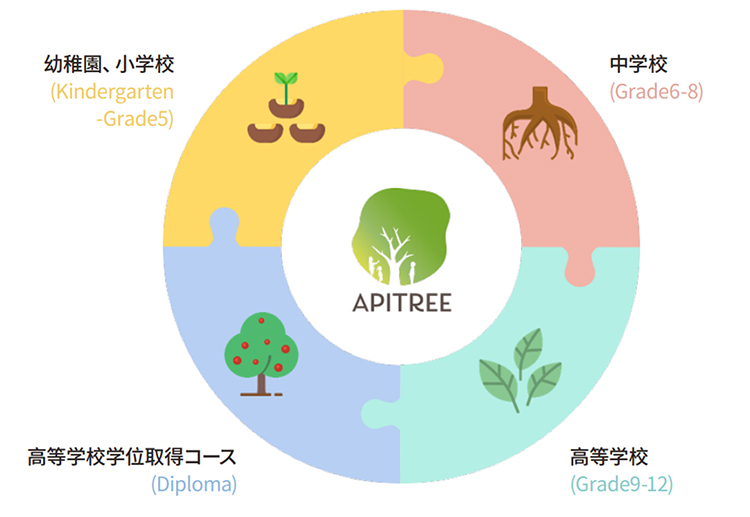 Apitree English