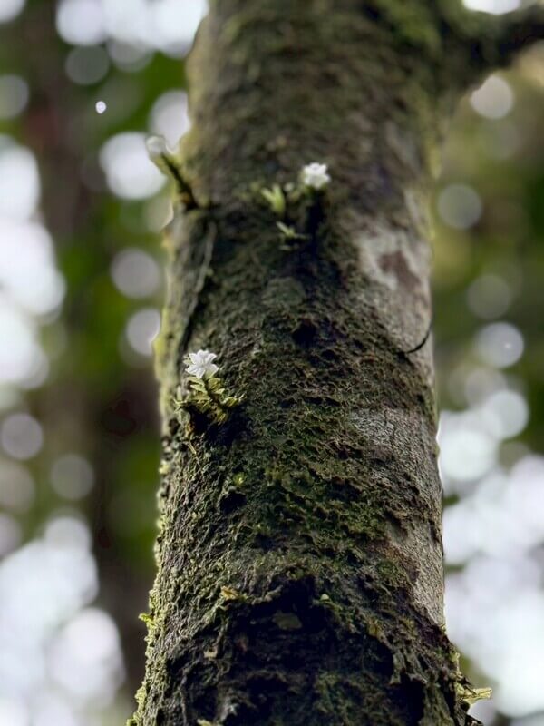 マレーシア留学体験談