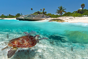 playa-del-carmen