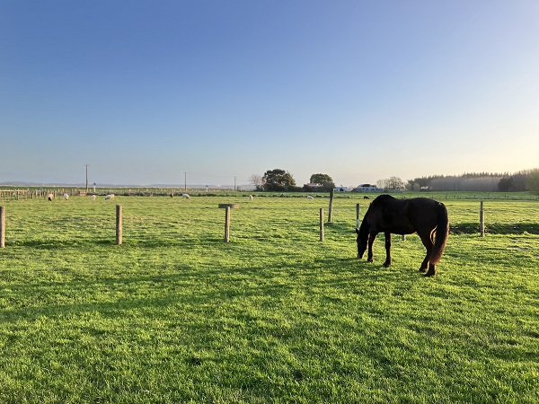 ニュージーランド留学中の様子