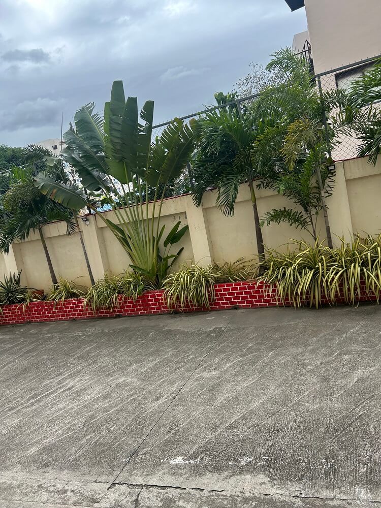 フィリピン留学中の様子