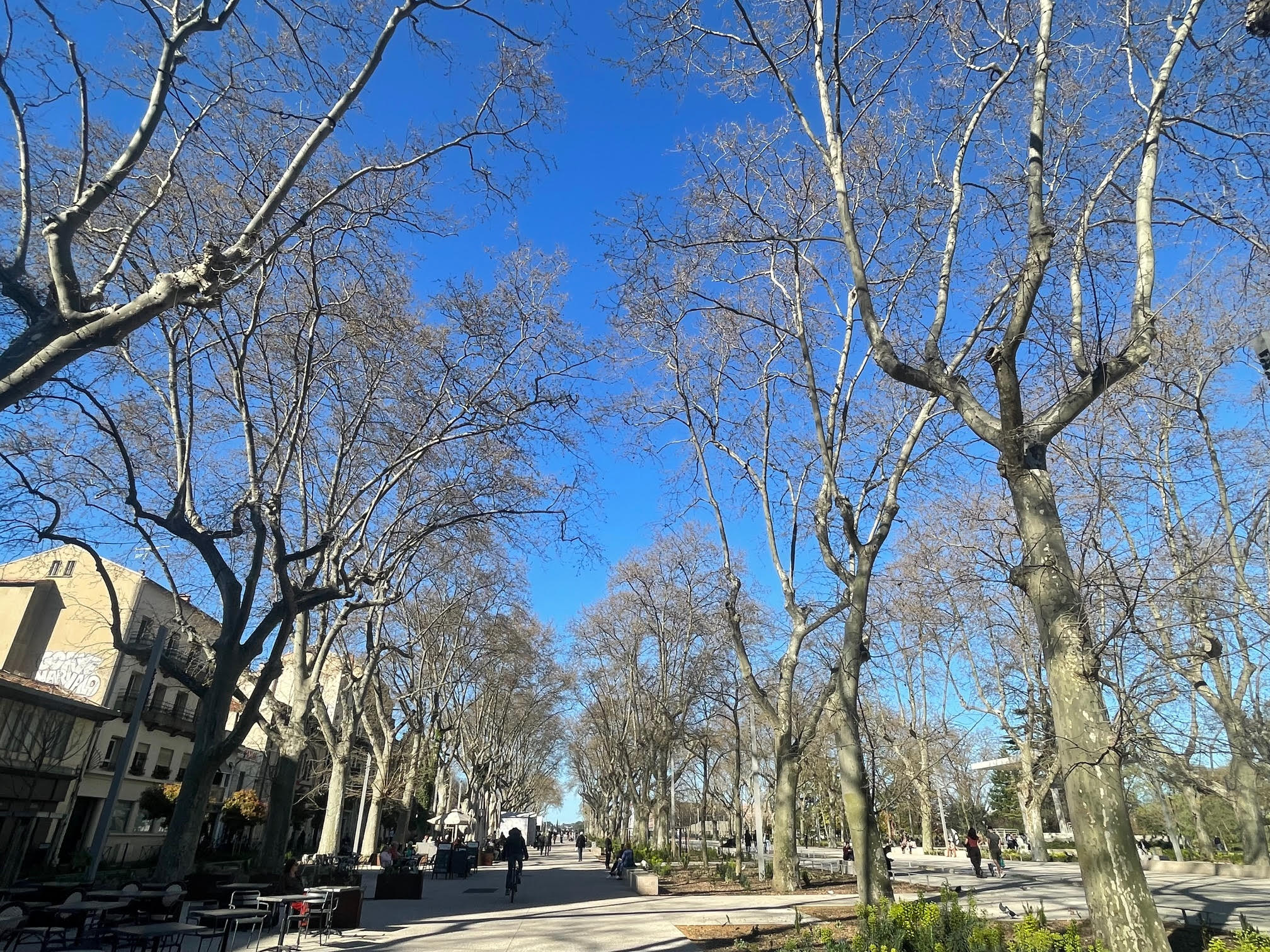 フランス留学体験談