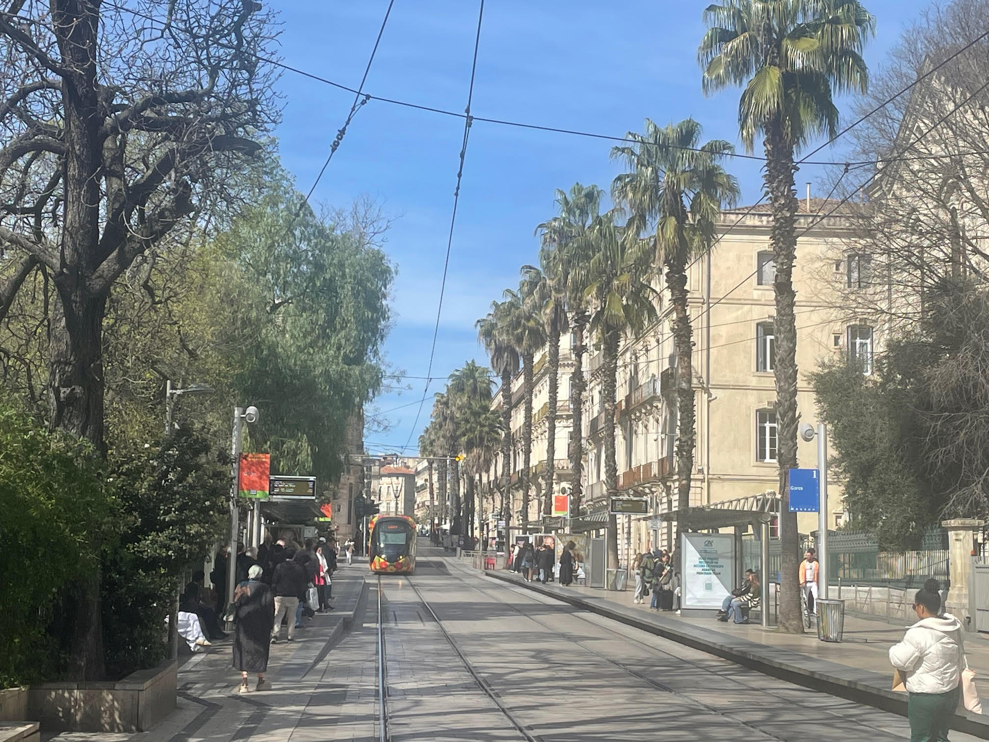 フランス留学体験談