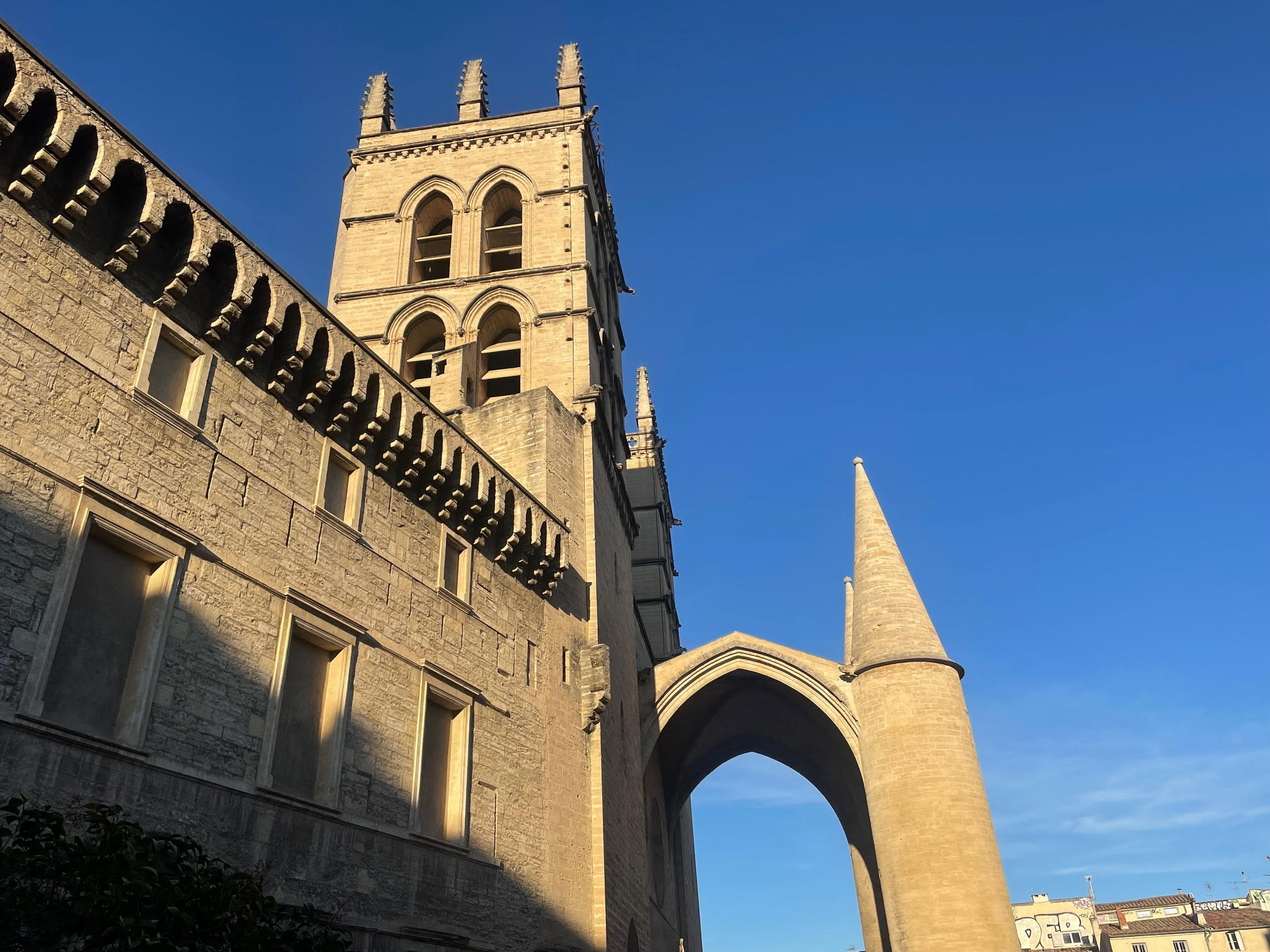 フランス留学体験談