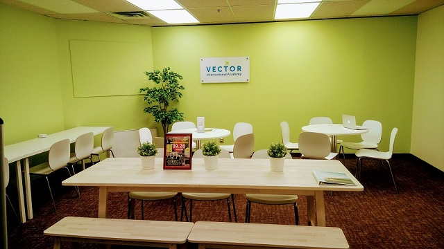 Vector International Academy