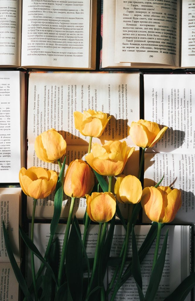 Tulipanes