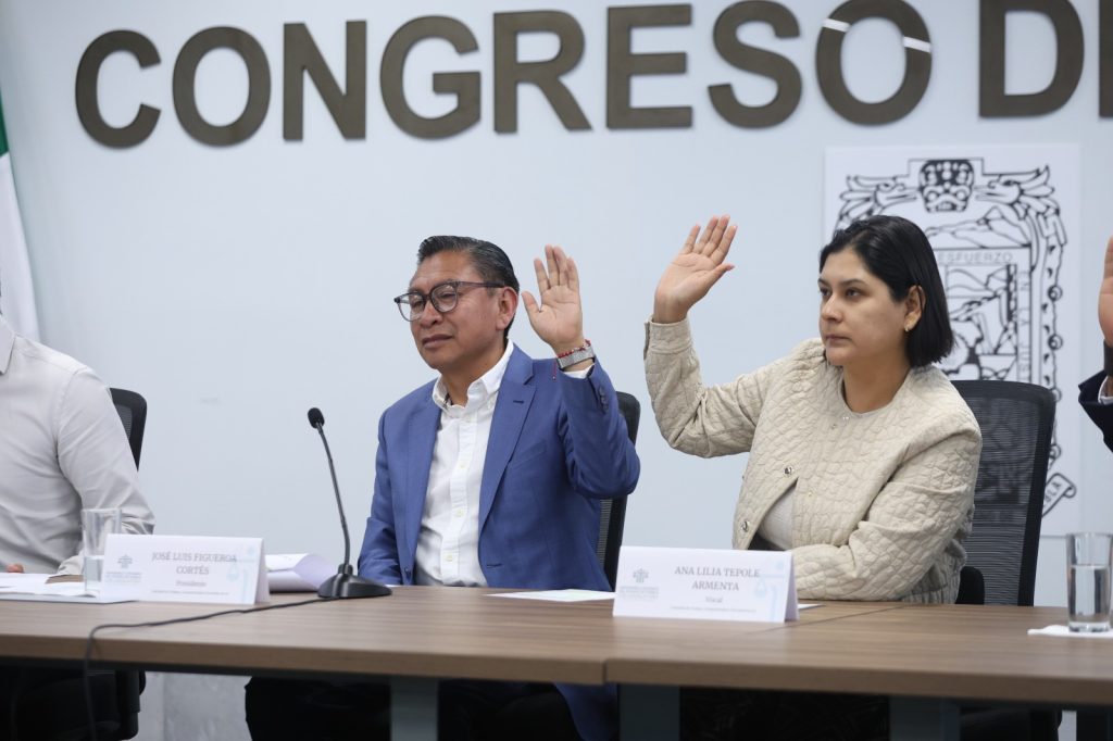 Diputados Locales