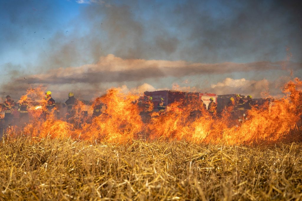 Daño Ecologico