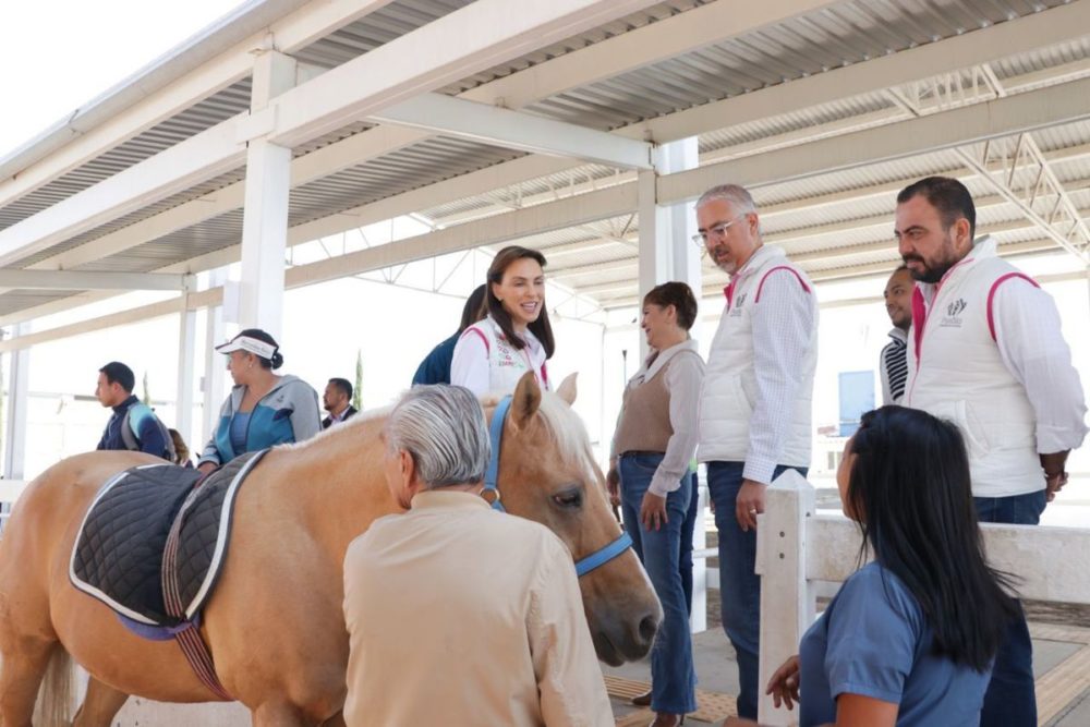 Equino Terapia