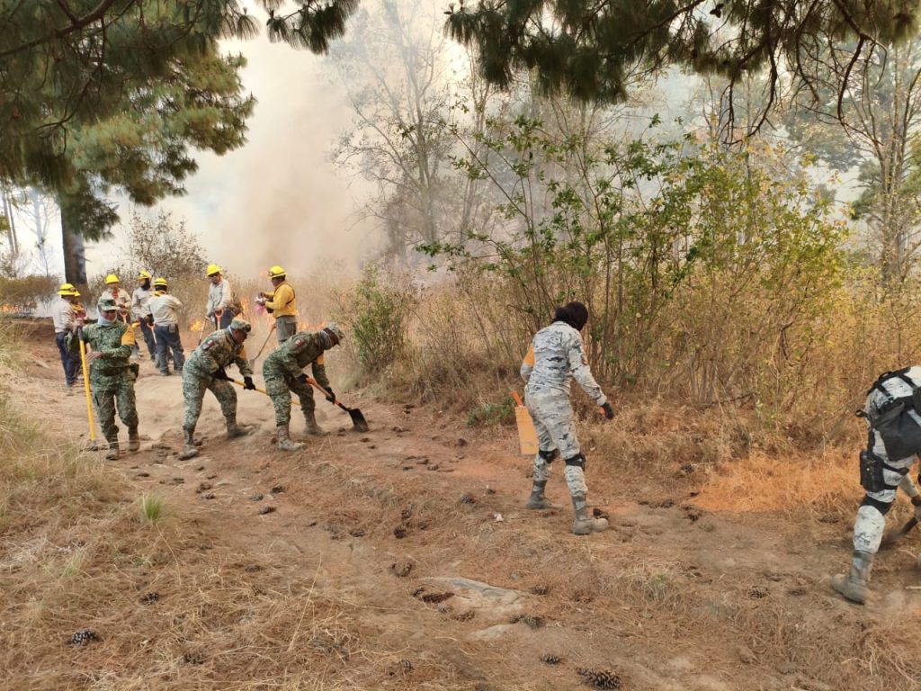 Incendio Forestal