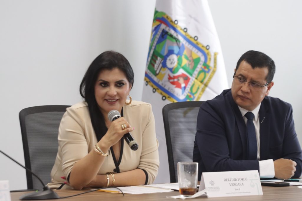 Diputada