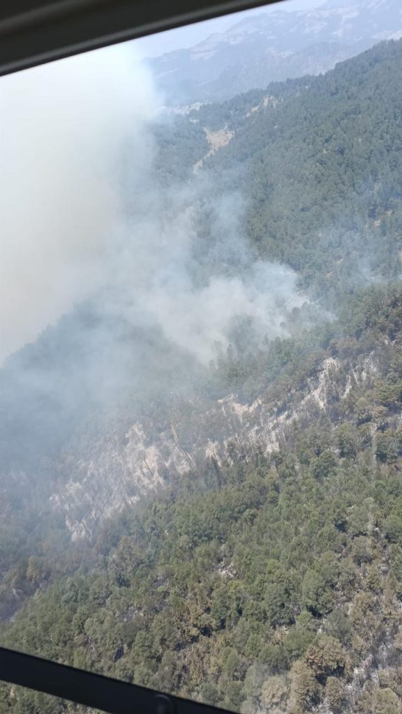 Incendio Forestal