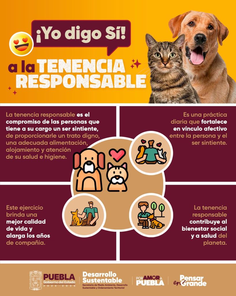 Mascotas