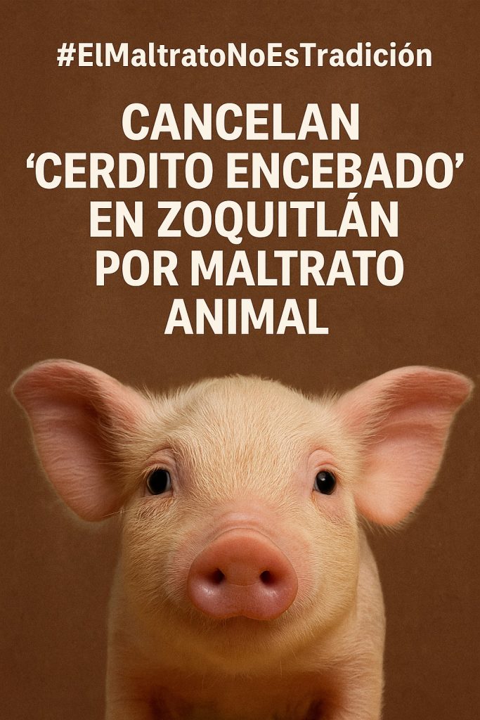 Cerdito