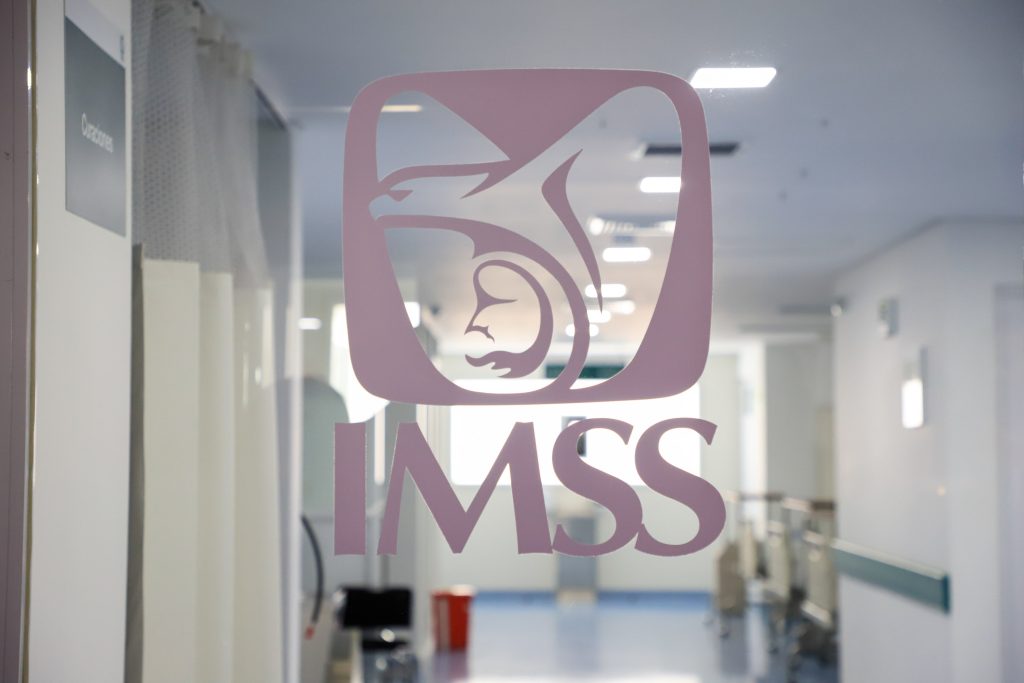 LOGO IMSS