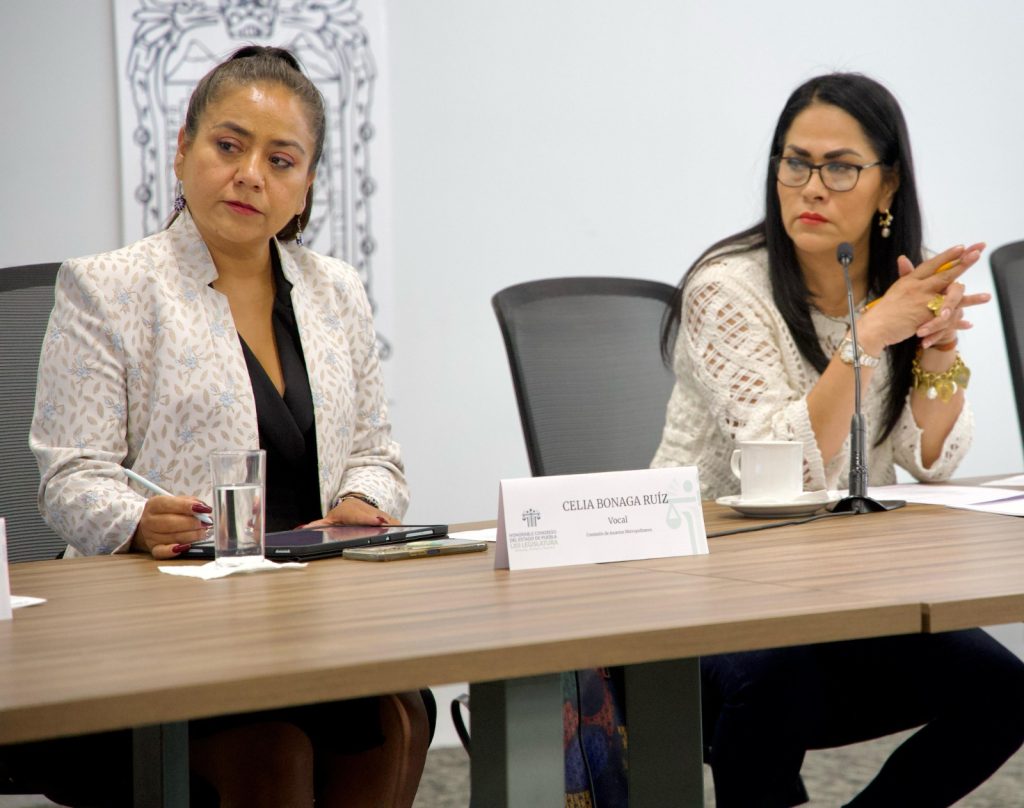 Diputadas