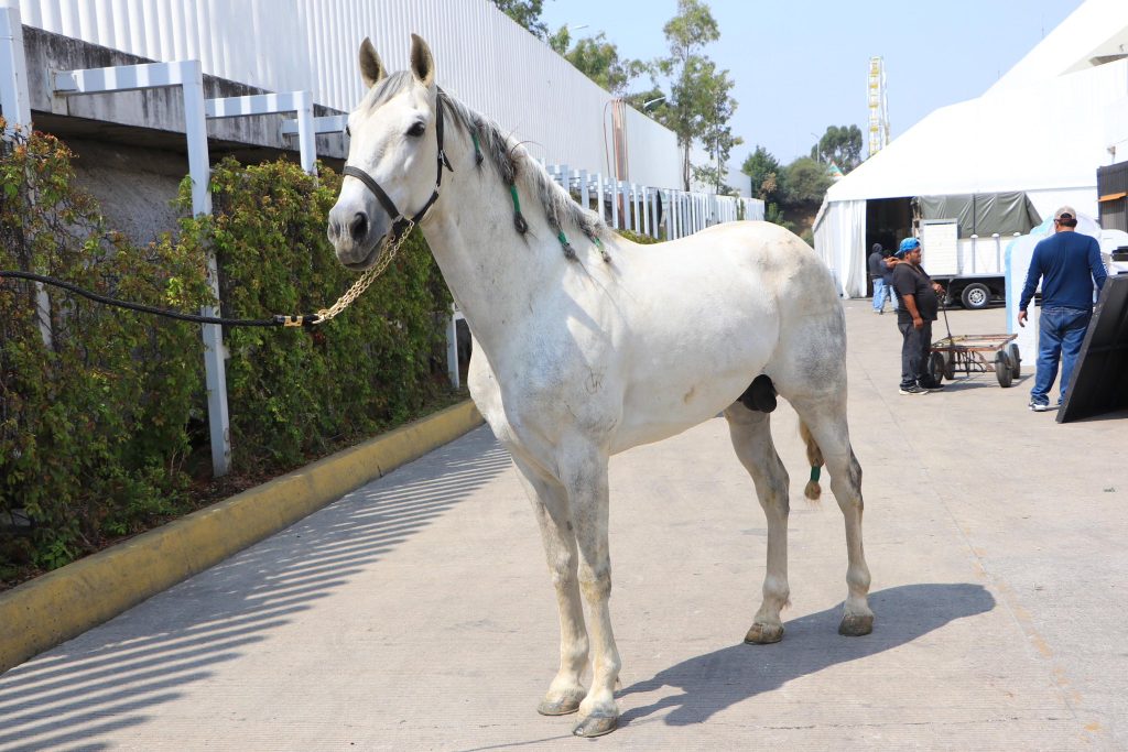 Feria de Puebla 2025