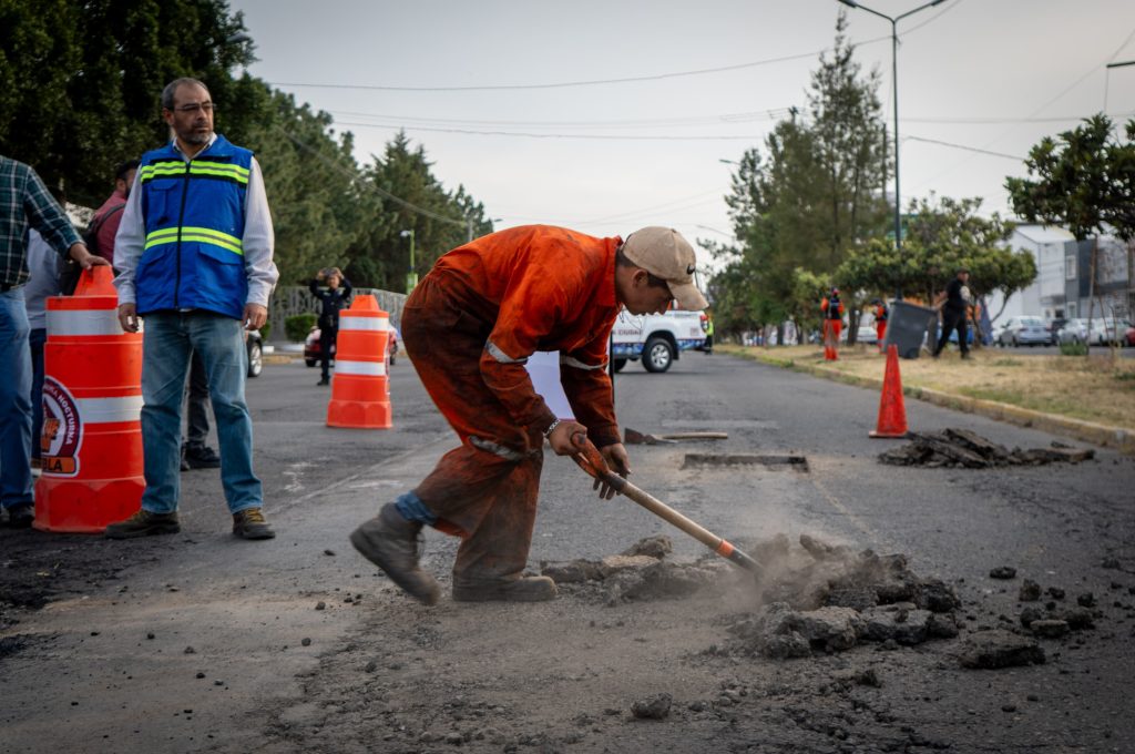 Baches