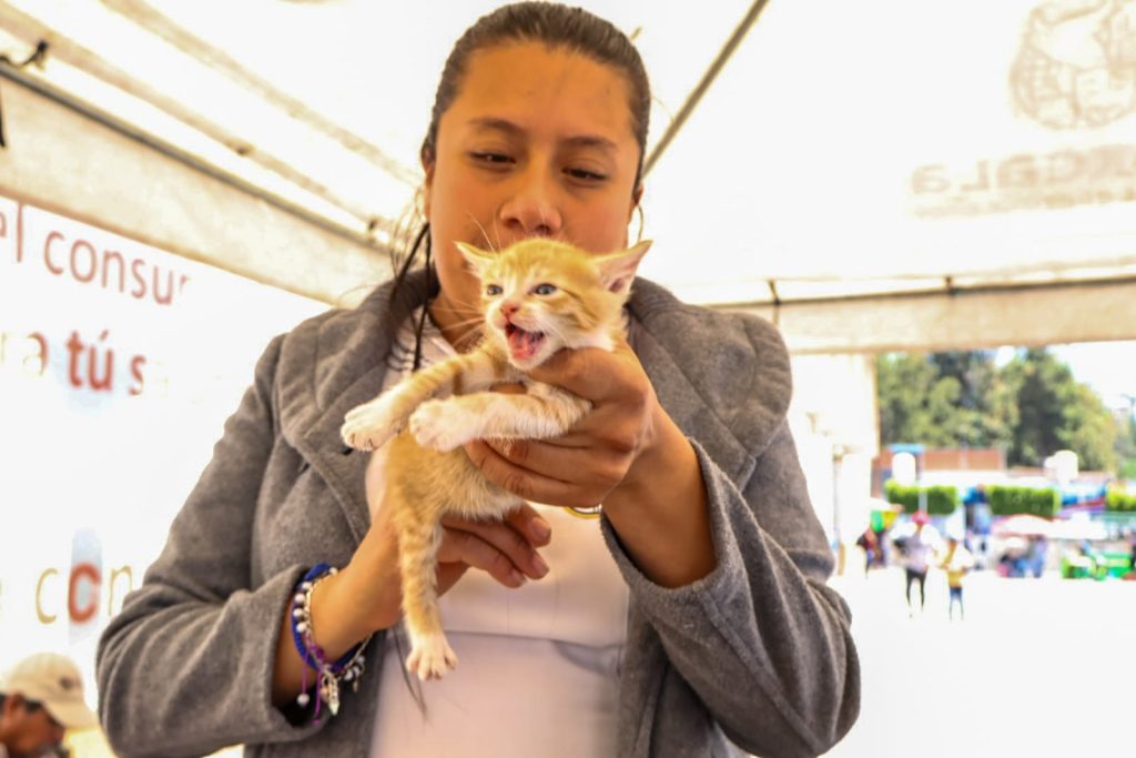 Jornada Bienestar Animal