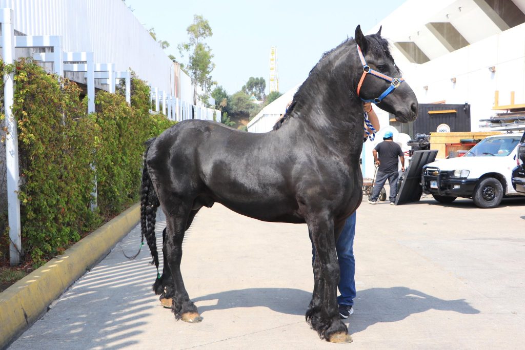 Feria de Puebla 2025