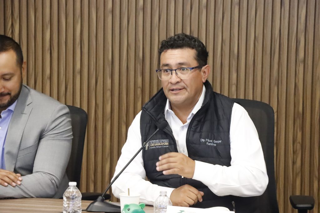 Diputado