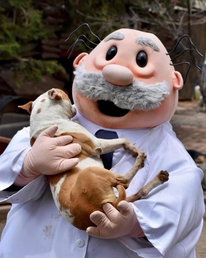 Cariño Animal