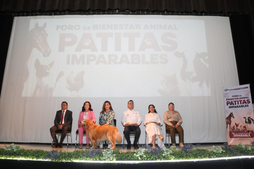 Ayuntamiento de Puebla