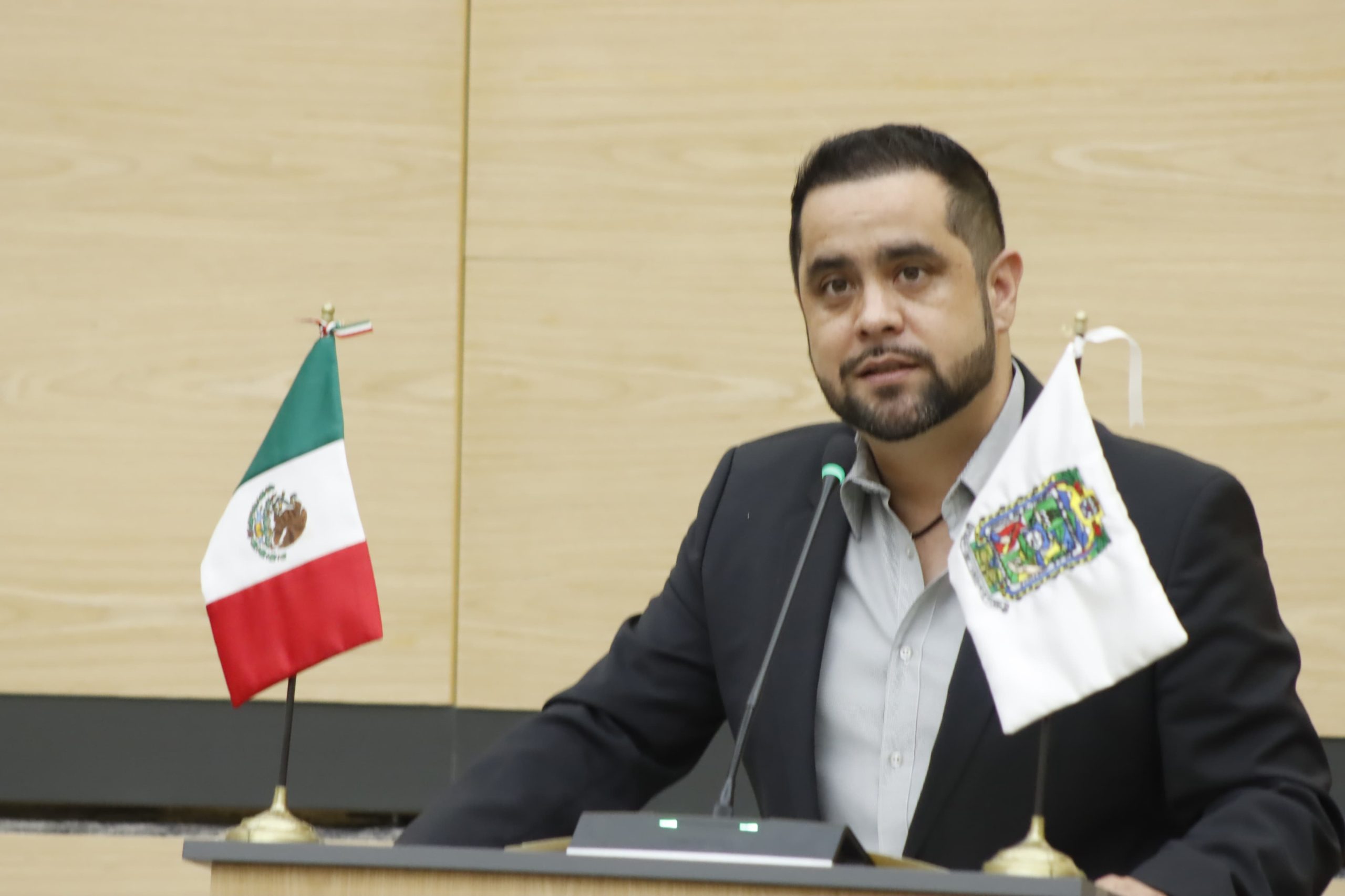 Diputado