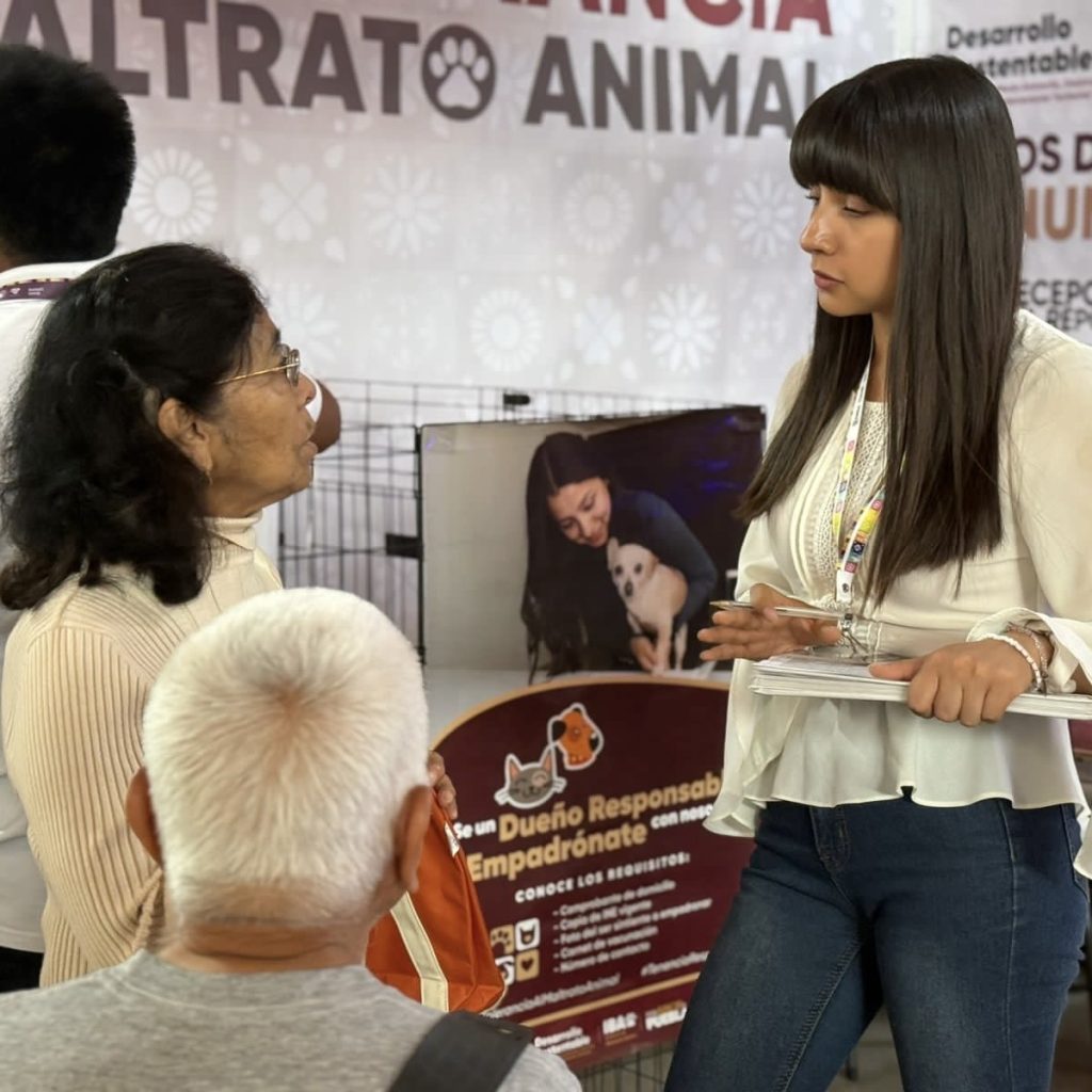 Orientación
