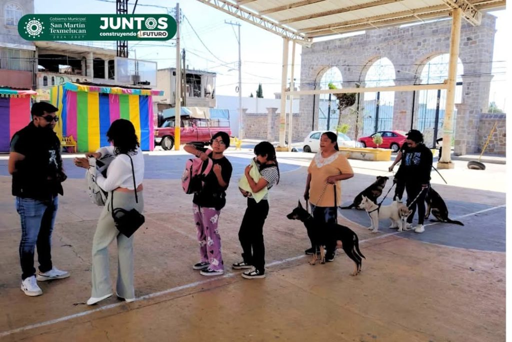 Campañas de Esterilización
