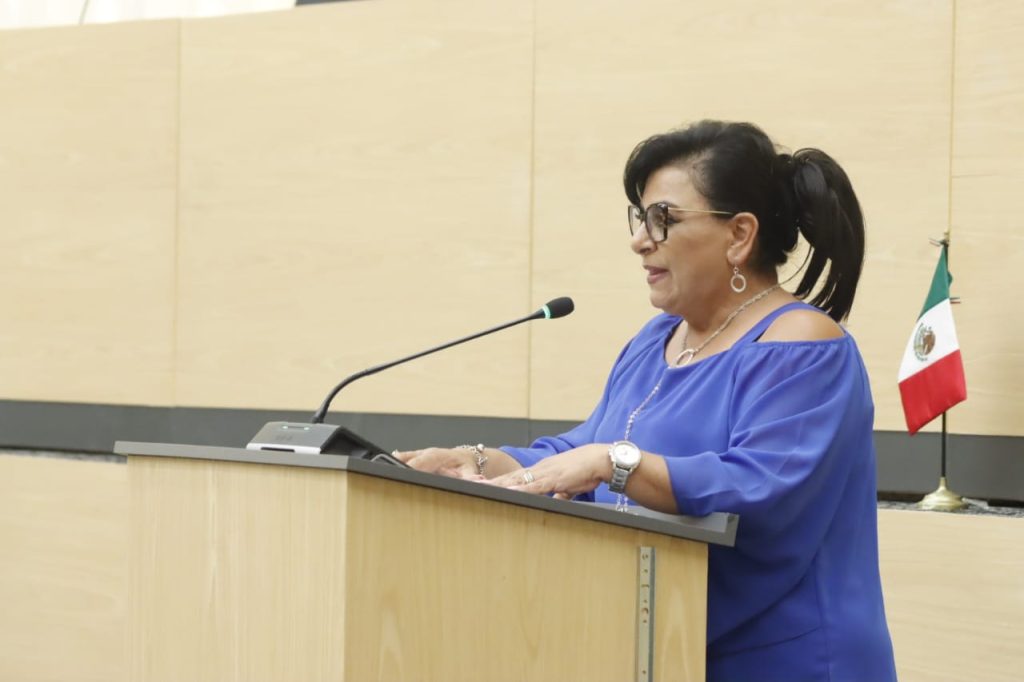 Diputada del Congreso