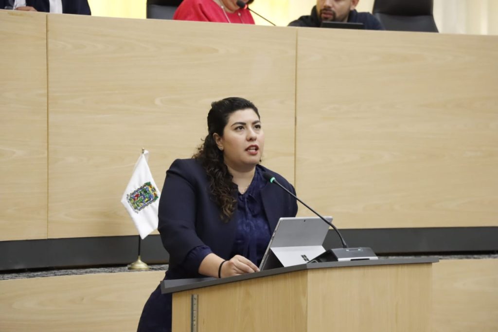 Diputada del Congreso