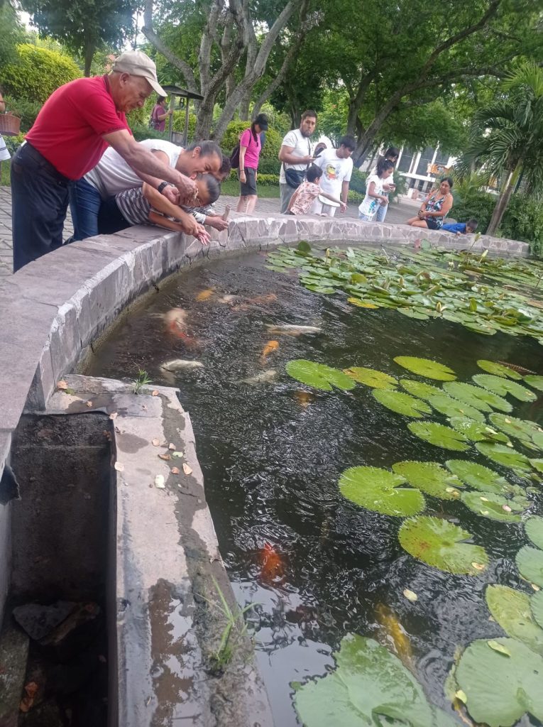 Peces