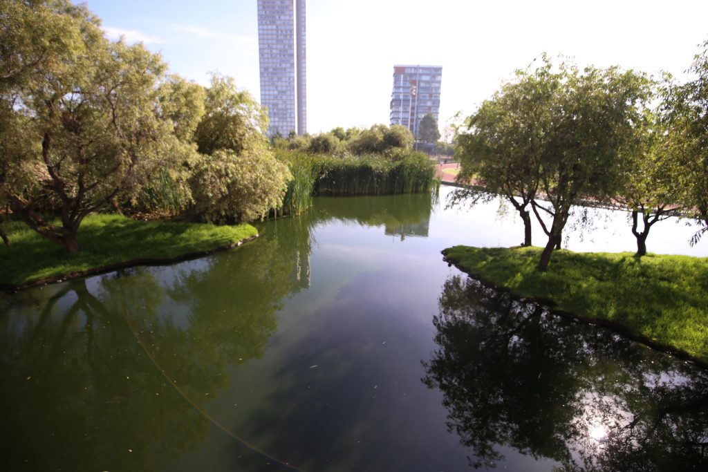 Parque