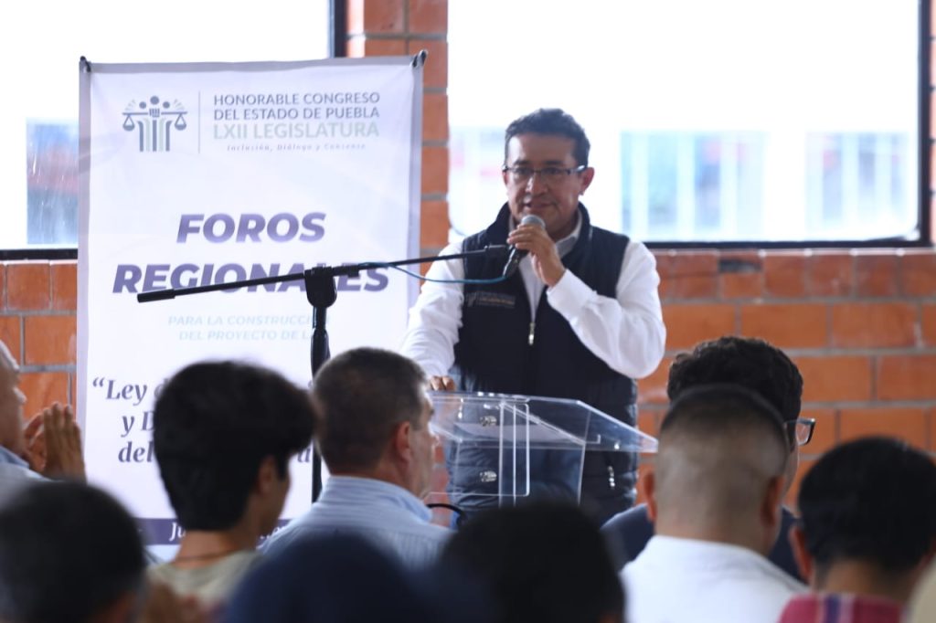 Diputado
