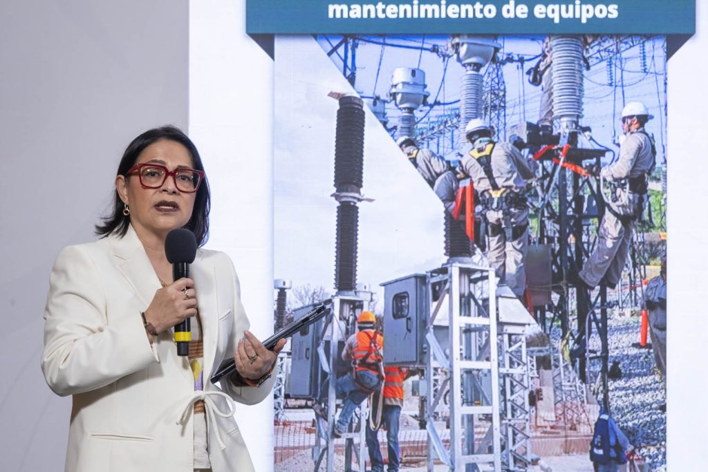 Directora de la CFE