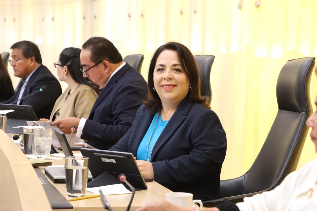 Diputada