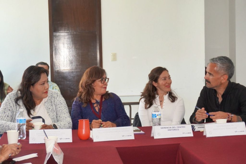 Investigación de Delitos de Violencia de Género contra las Mujeres