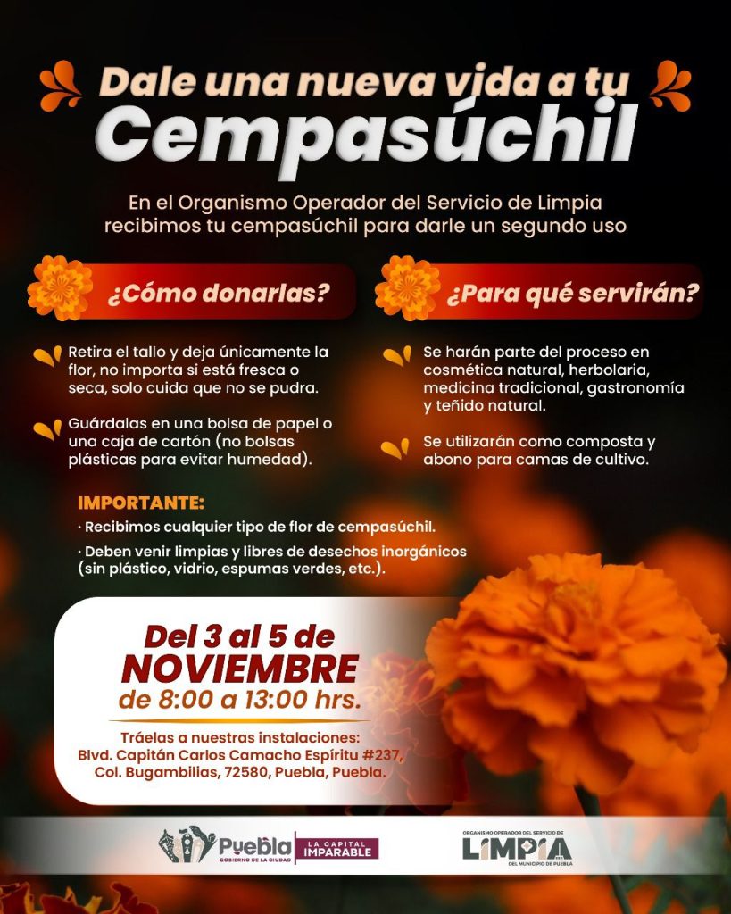 Flor de cempasúchil